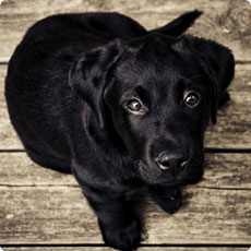 卡密平台推荐的DDOS压力测试